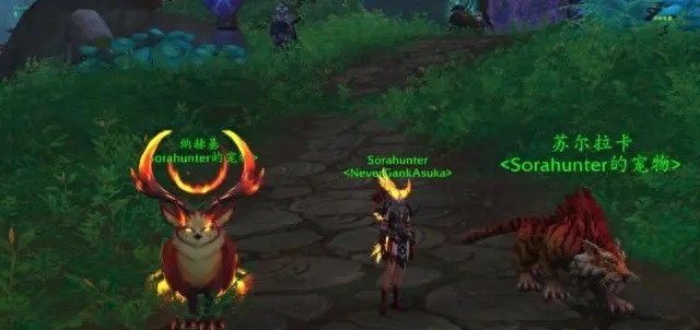 猎人福音！魔兽10.2版本新增火焰猫头鹰，绚丽火焰特效引领宠物潮流